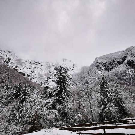 Vila U Konc Stahovica Pokoj fotografie