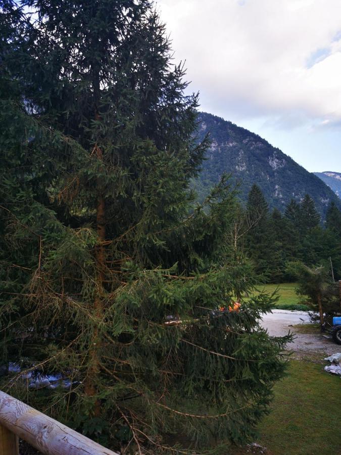 Vila U Konc Stahovica Exteriér fotografie
