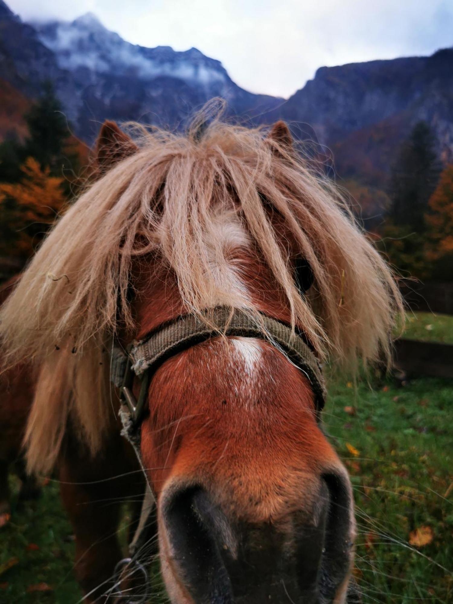 Vila U Konc Stahovica Pokoj fotografie