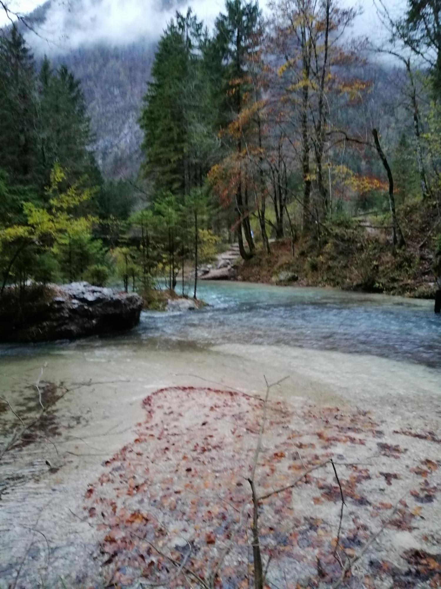 Vila U Konc Stahovica Pokoj fotografie